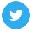 twitter-icon
